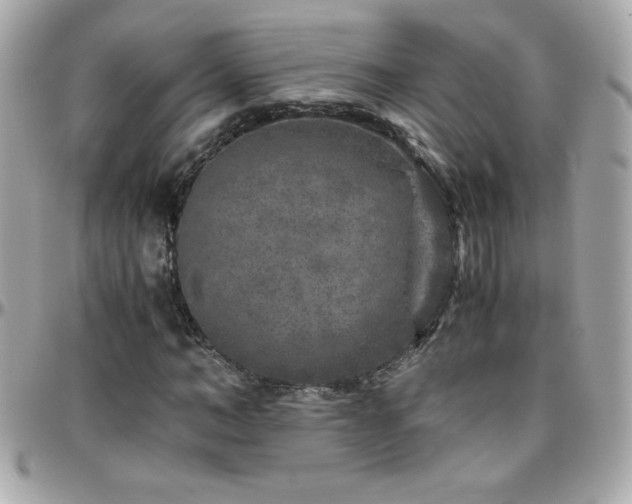 X0000096420966200801241313