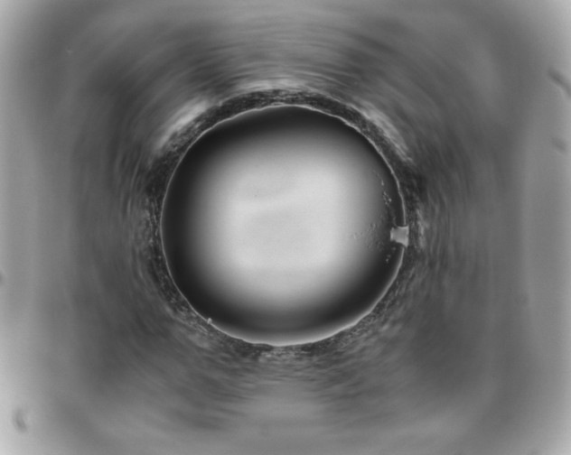 X0000096420967200801241313