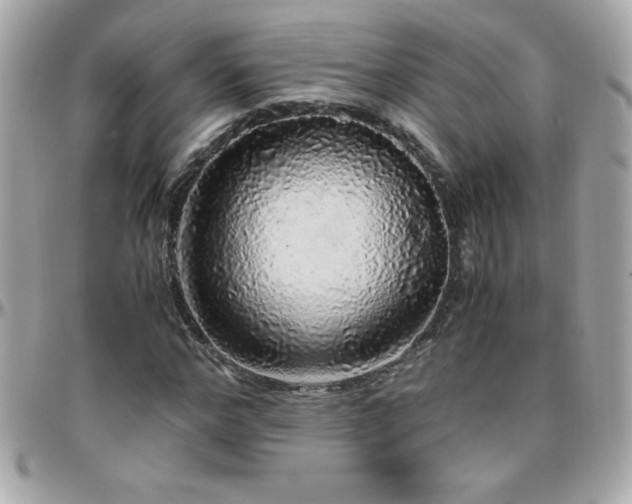 X0000096420968200801241313