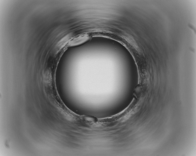X0000096420969200801241313