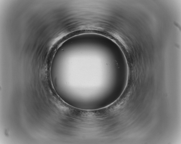 X0000096420971200801241313
