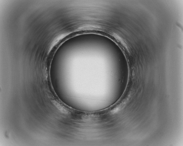 X0000096420973200801241313