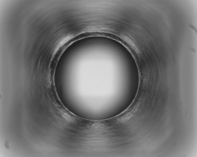X0000096420974200801241313