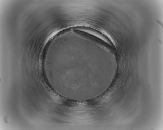 X0000096420975200801241313