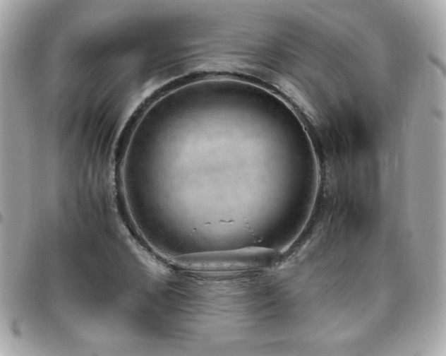 X0000096420976200801241313