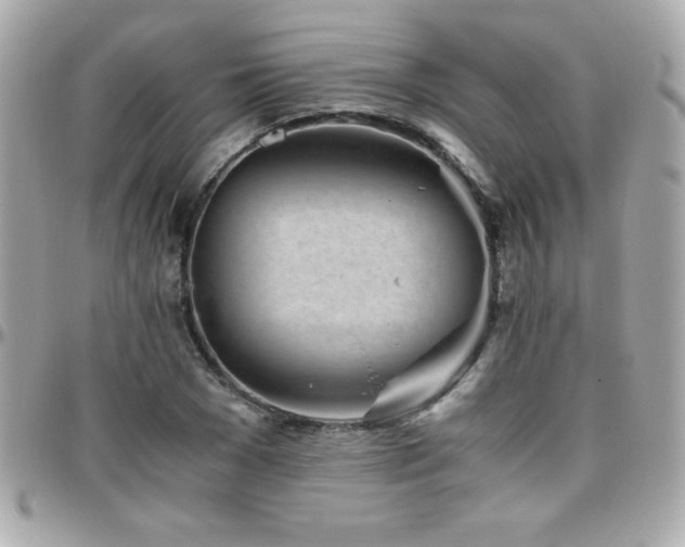 X0000096420977200801241313