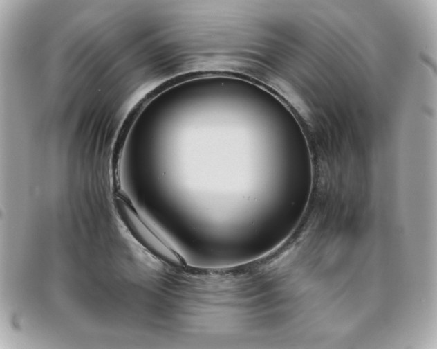 X0000096420980200801241313