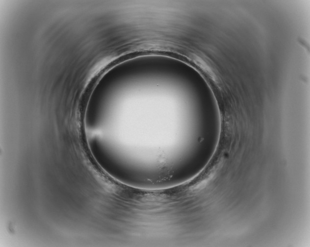 X0000096420981200801241313