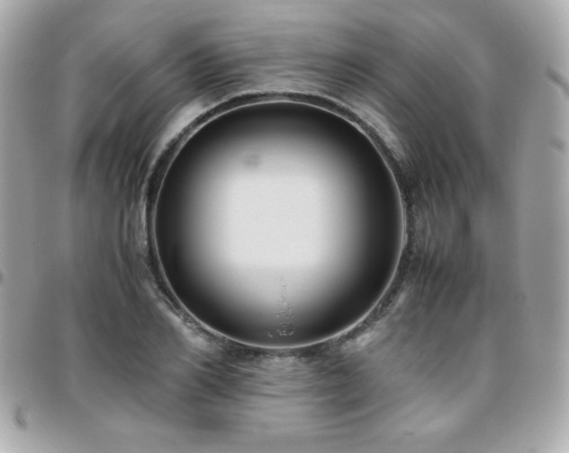 X0000096420982200801241313