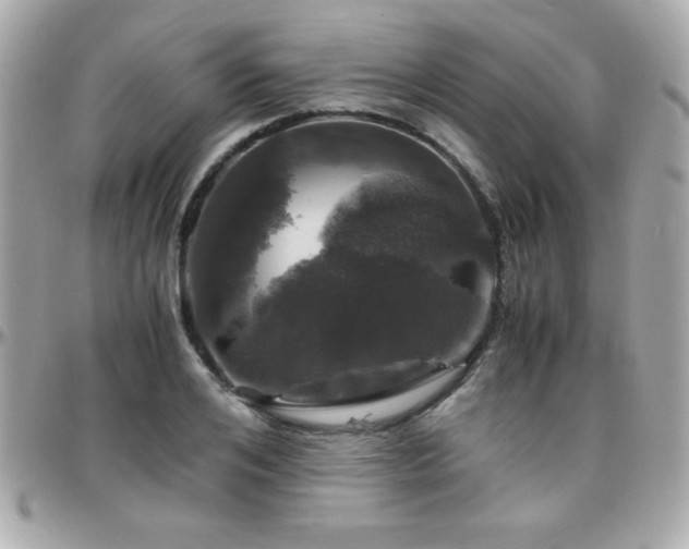 X0000096420984200801241313