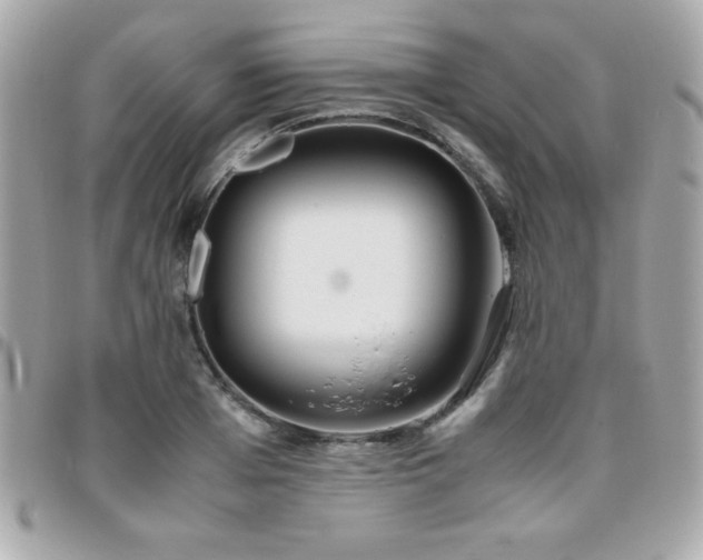 X0000096420985200801241313