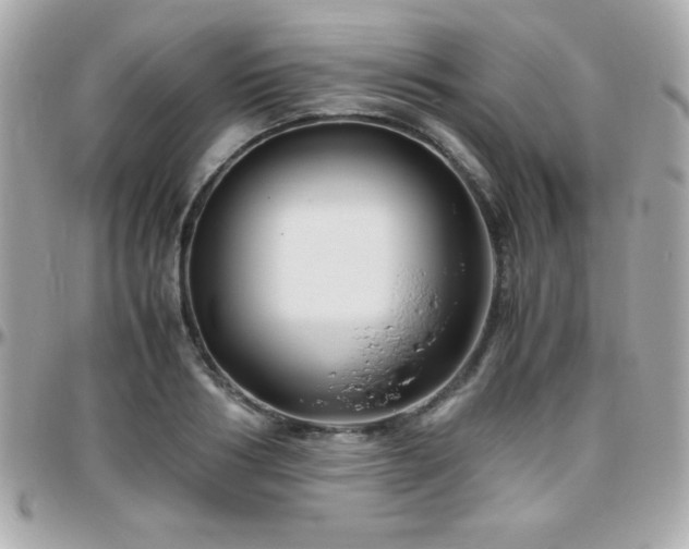X0000096420986200801241313