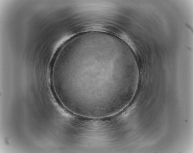 X0000096420987200801241313