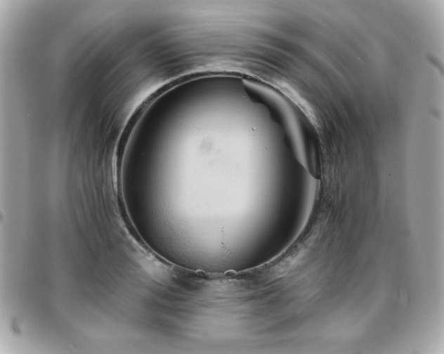 X0000096420988200801241313