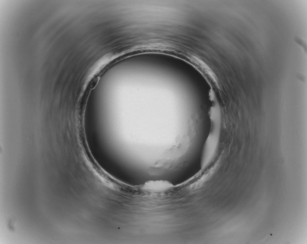 X0000096420989200801241313