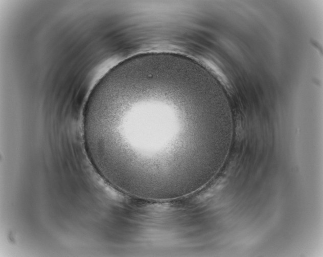 X0000096420990200801241313