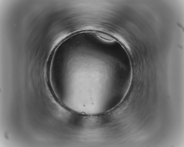 X0000096420991200801241313