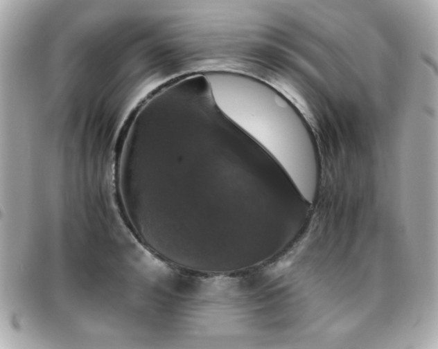 X0000096420992200801241313