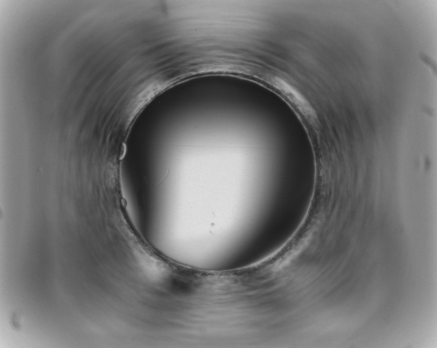 X0000096420993200801241313