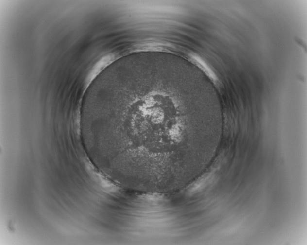 X0000096420994200801241313