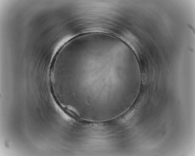 X0000096420995200801241313