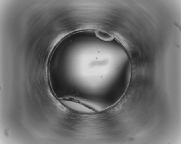 X0000096420996200801241313