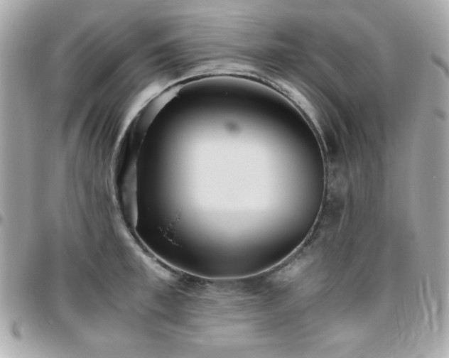 X0000096420997200801241313