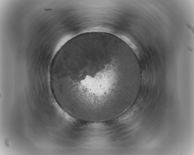 X0000096420998200801241313