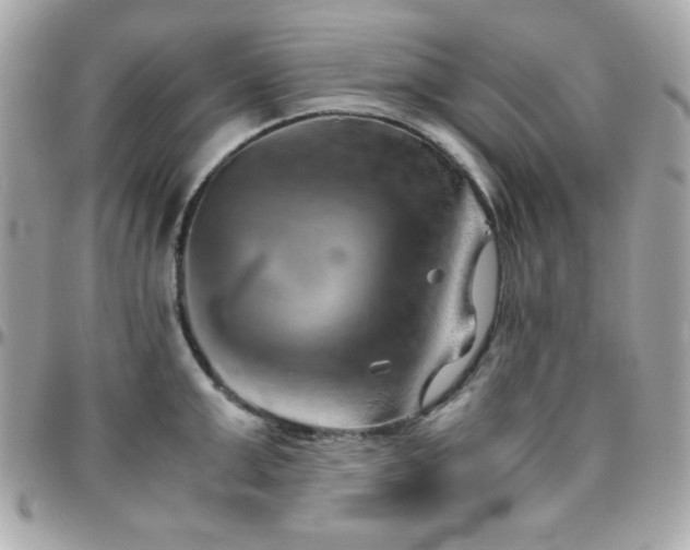 X0000096420999200801241313