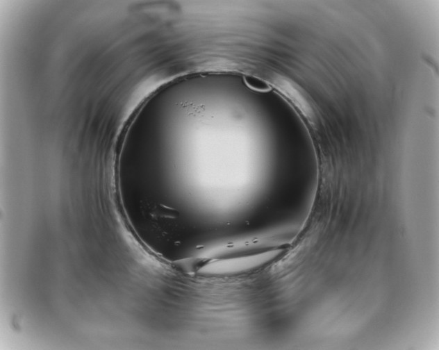 X0000096421000200801241313