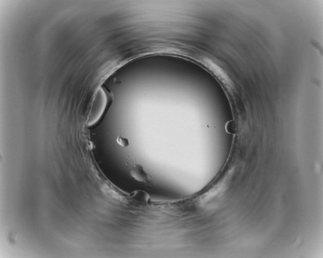 X0000096421001200801241313