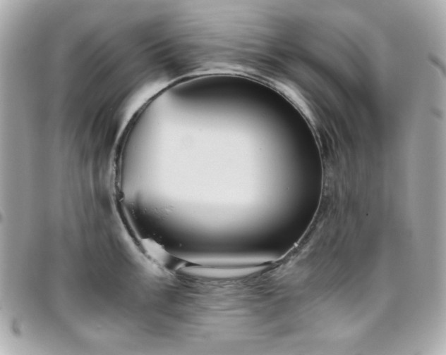 X0000096421003200801241313