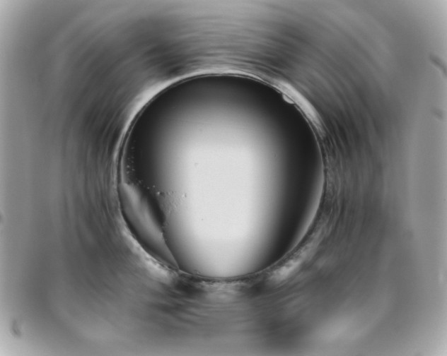 X0000096421004200801241313