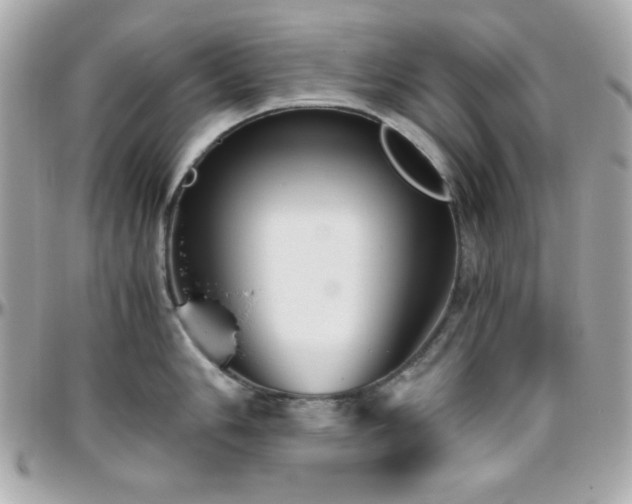 X0000096421006200801241313