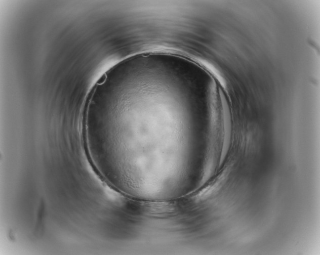 X0000096421007200801241313