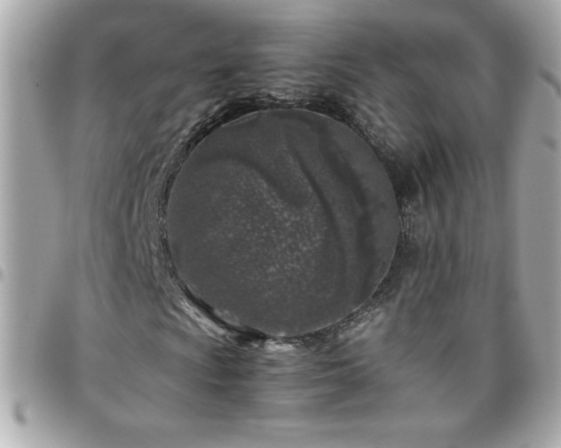 X0000096421009200801241312