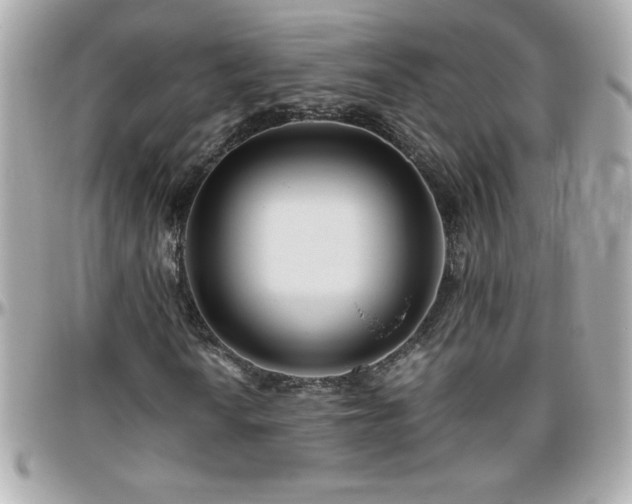 X0000096421010200801241312