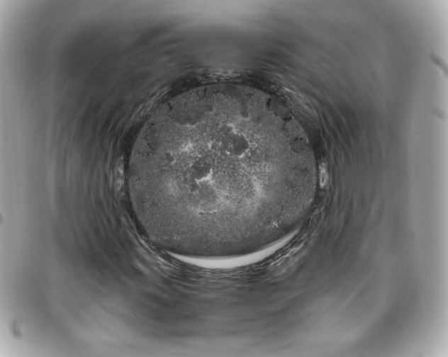 X0000096421011200801241312