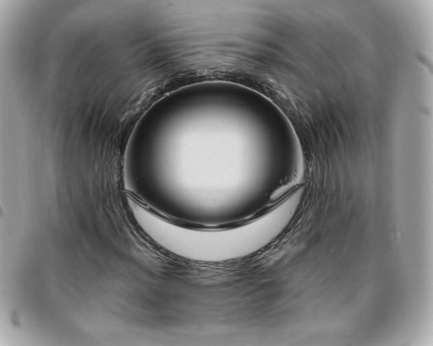 X0000096421012200801241312
