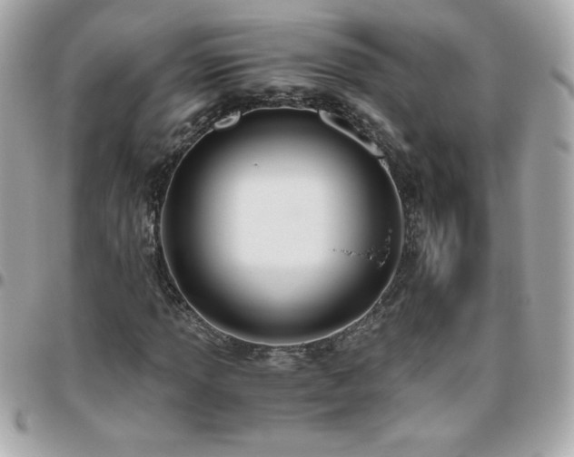X0000096421013200801241312
