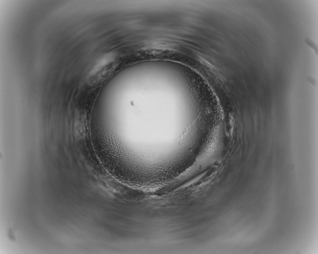 X0000096421014200801241312
