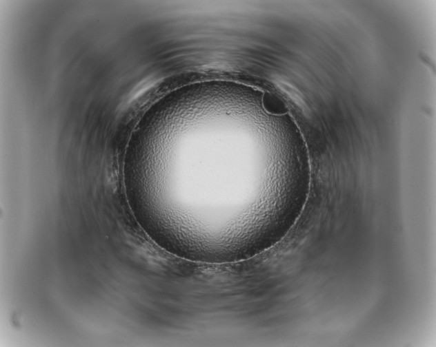 X0000096421015200801241312