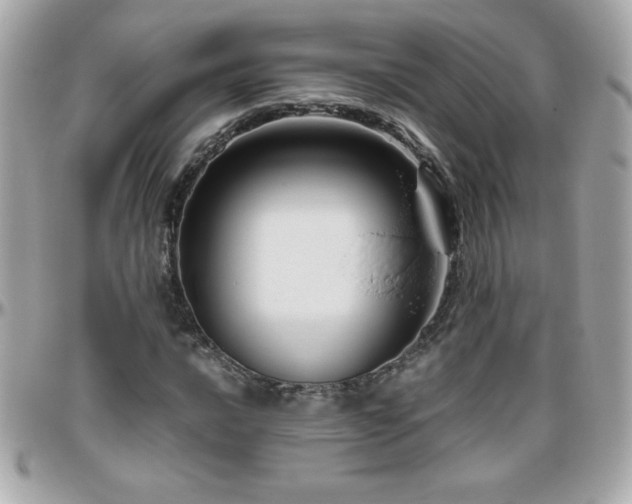 X0000096421016200801241312