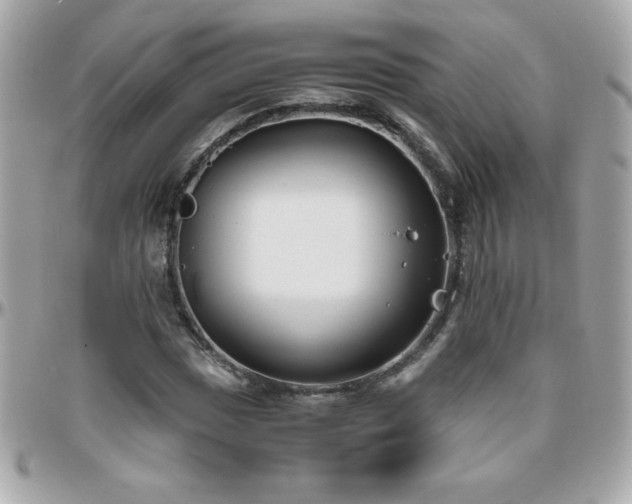 X0000096421017200801241312