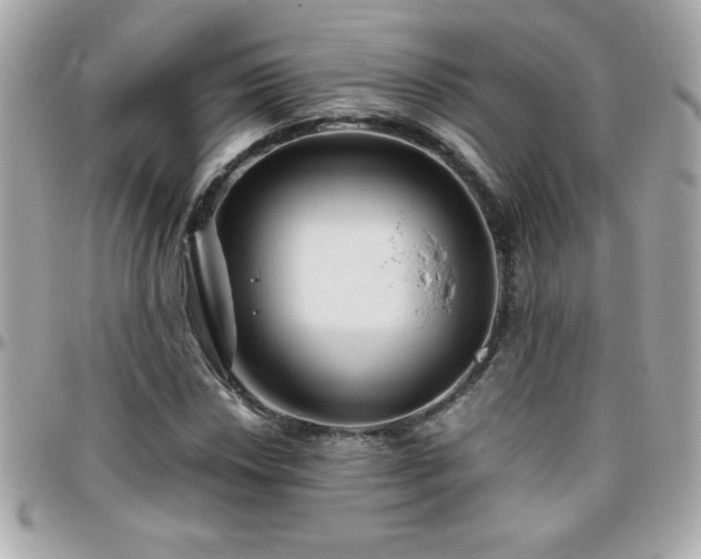 X0000096421018200801241312
