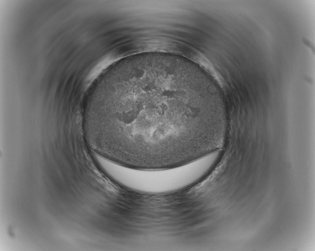 X0000096421019200801241312