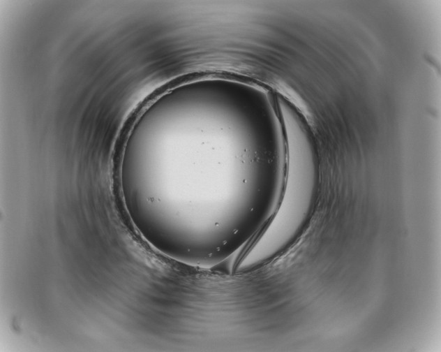 X0000096421020200801241312