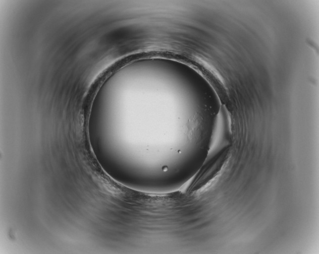 X0000096421021200801241312