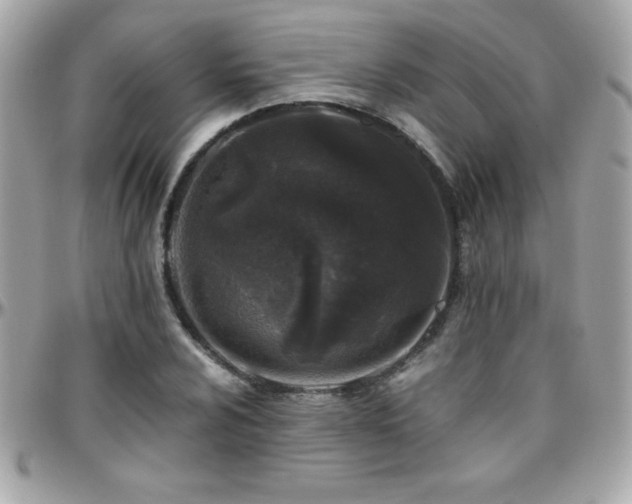 X0000096421024200801241312
