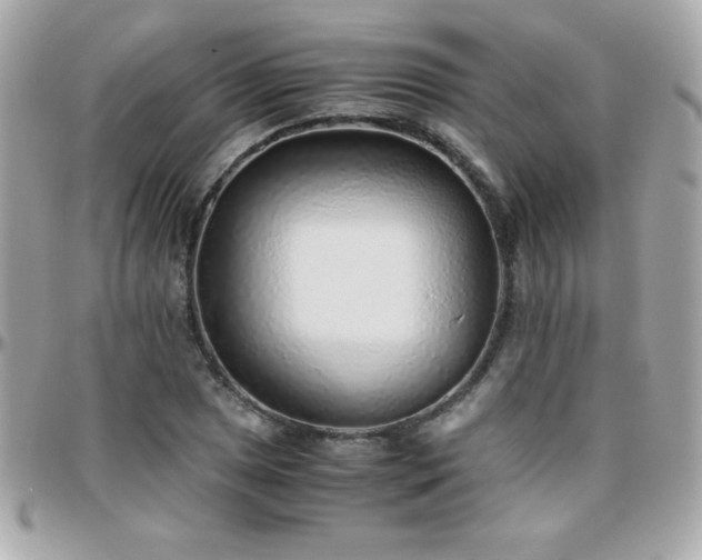 X0000096421025200801241312